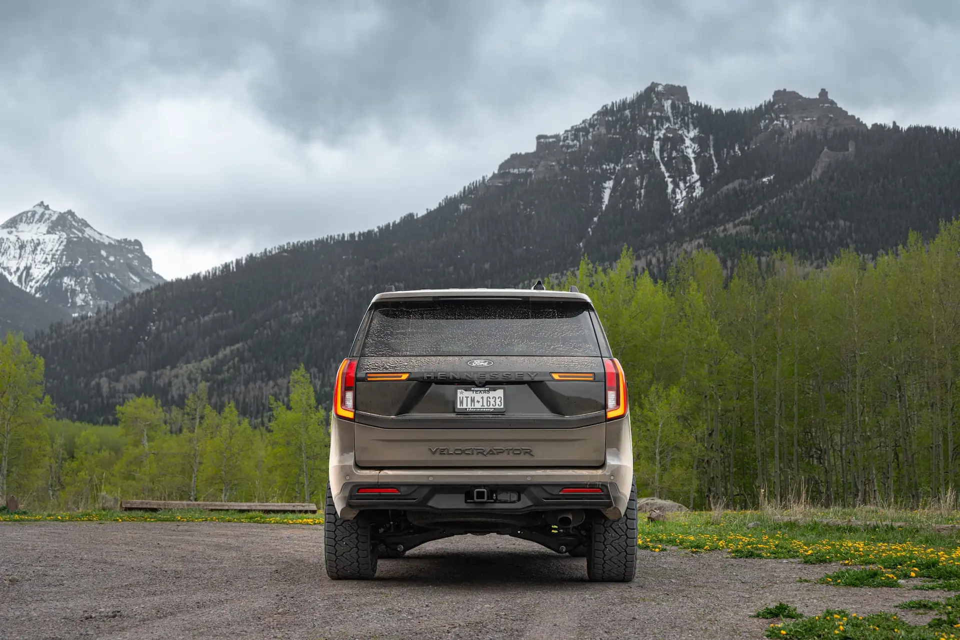Ford Expedition For Sale #5
