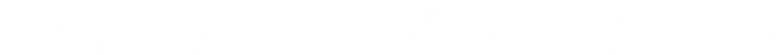 Blackbird BB Logo scaled 1 - Hennessey Special Vehicles